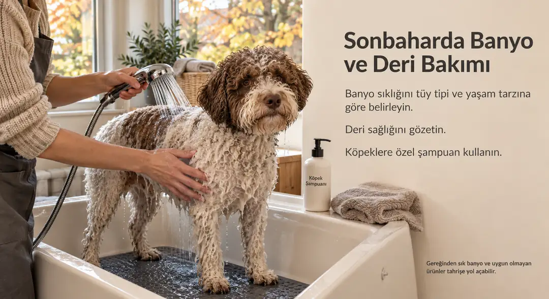 Banyo sıklığı köpeğin tüy tipi, yaşam tarzı ve deri sağlığına göre değişir.