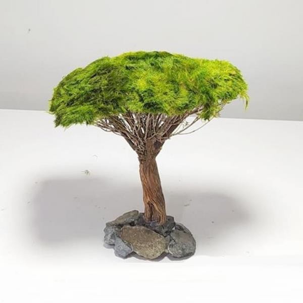 Canlı Moss Sarılı Ağaç Figürü L