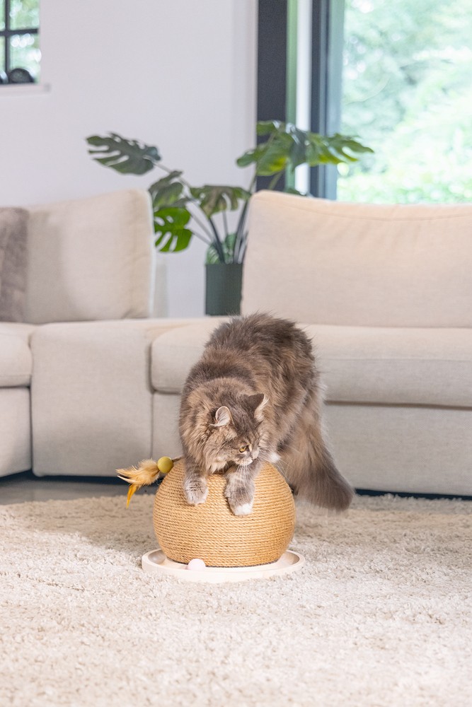 Beeztees DBL Kedi Tırmalama ve Oyuncağı, 29,5x29,5x22cm