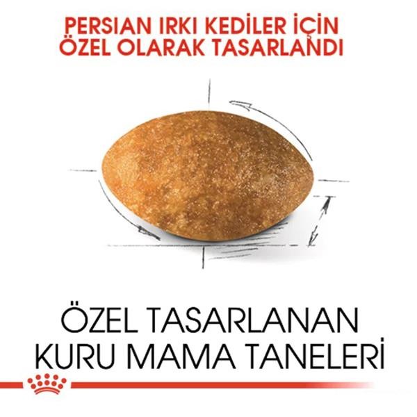 Royal Canin Persian Adult Yetişkin Kedi Maması 4 Kg