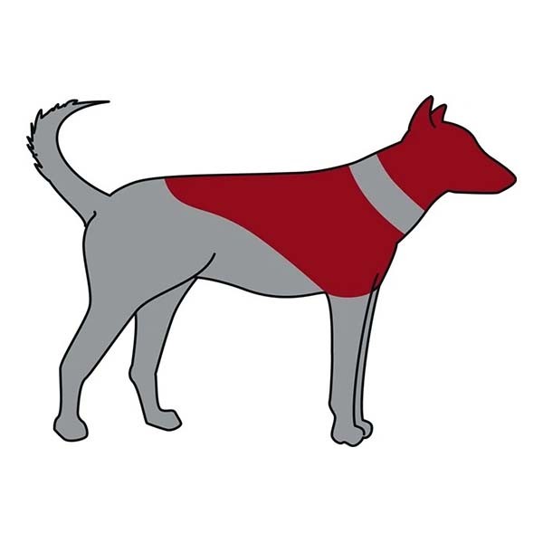 Trixie Köpek Koruyucu Şişme Yakalık Xxs Mavi