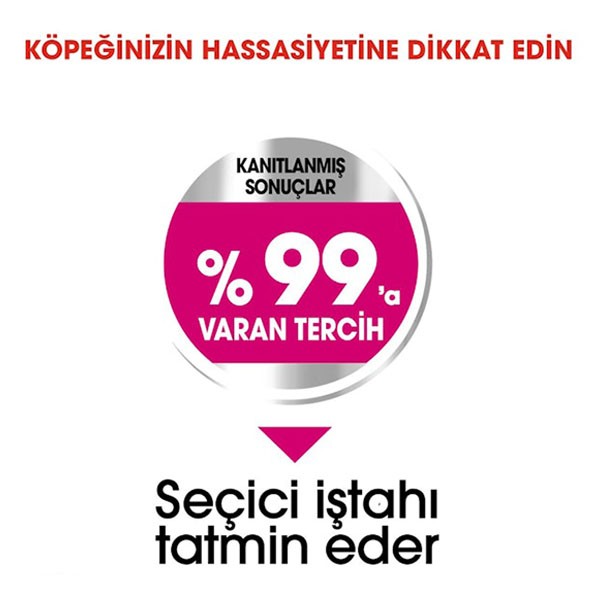 Royal Canin Exigent Mini Yetişkin Köpek Maması 3 Kg