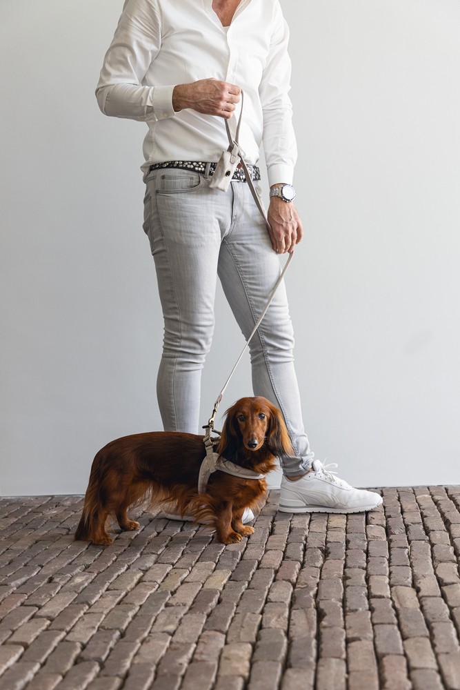 Beeztees DBL Köpek Göğüs Tasması, Velur, Gri, S, 20mm x 52cm