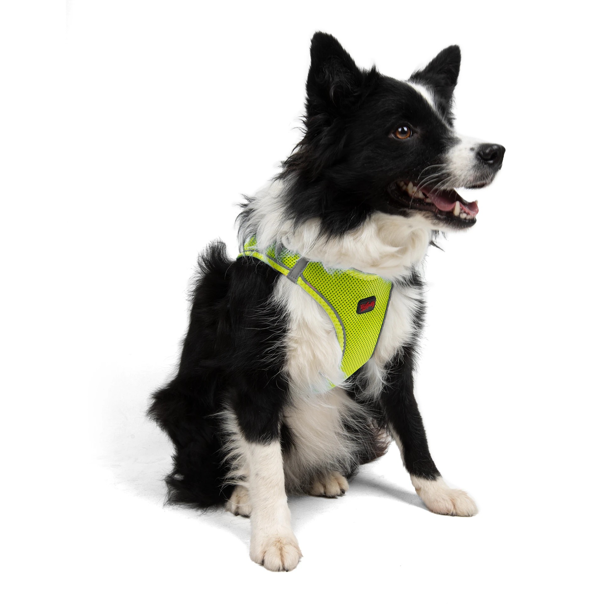 Tailpetz Air-Mesh Harness Neo Lime XL