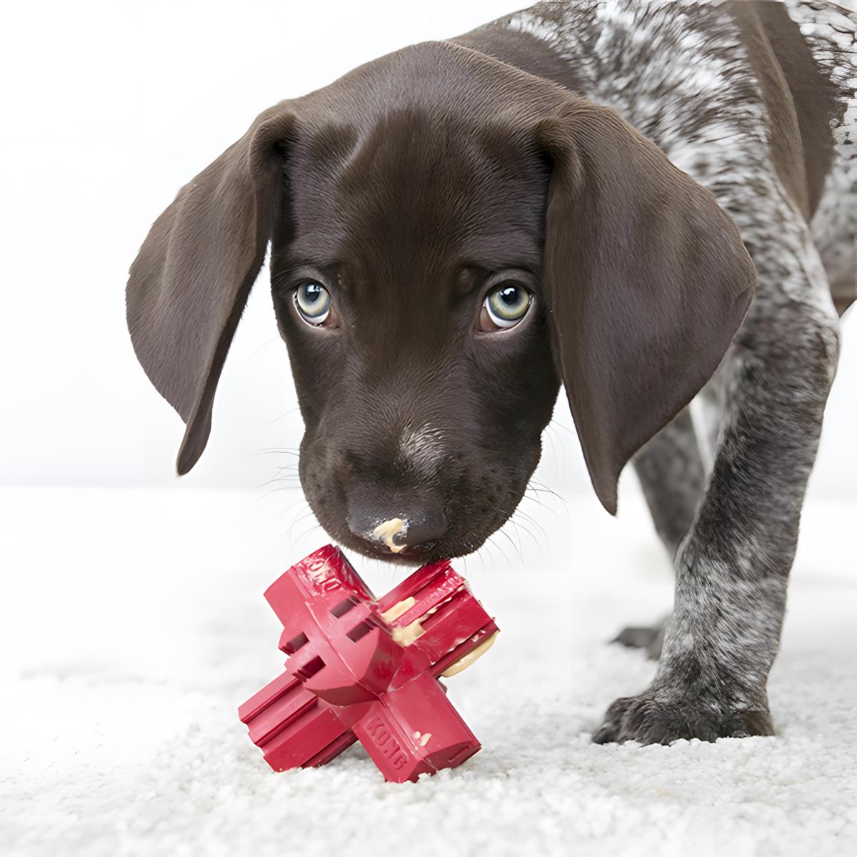 Kong Jump Jack Çok Köpekler İçin Çok Amaçlı Isırma Oyuncağı M