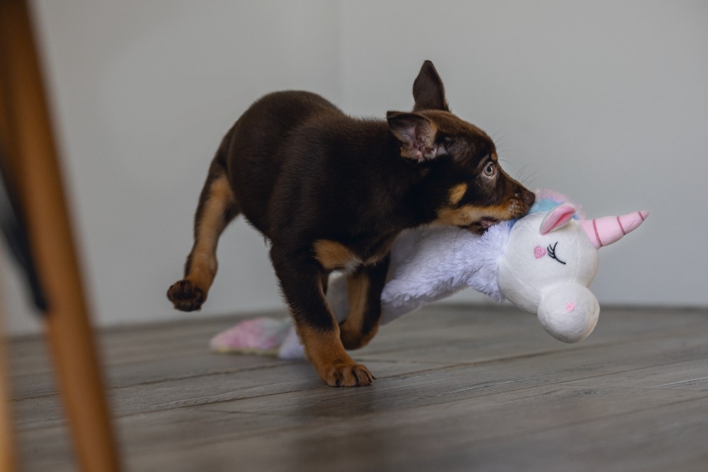 Beeztees Yavru Köpek Oyuncağı, Unicorn, Peluş, Beyaz, 74x14x15cm