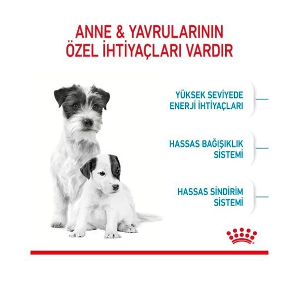 Royal Canin Mini Starter Mother&Babydog Küçük Irk Yavru Köpek Maması 4Kg