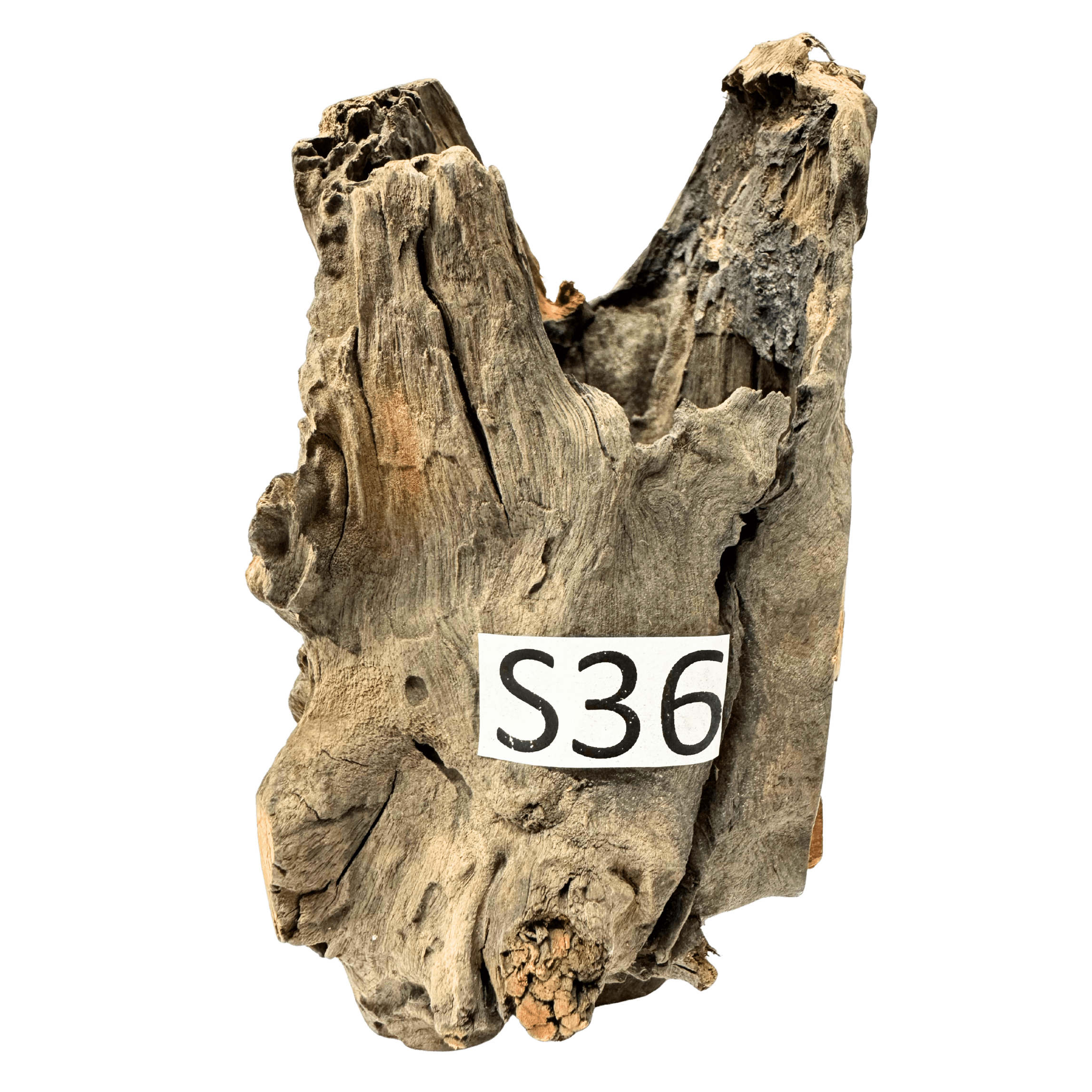 Small 36