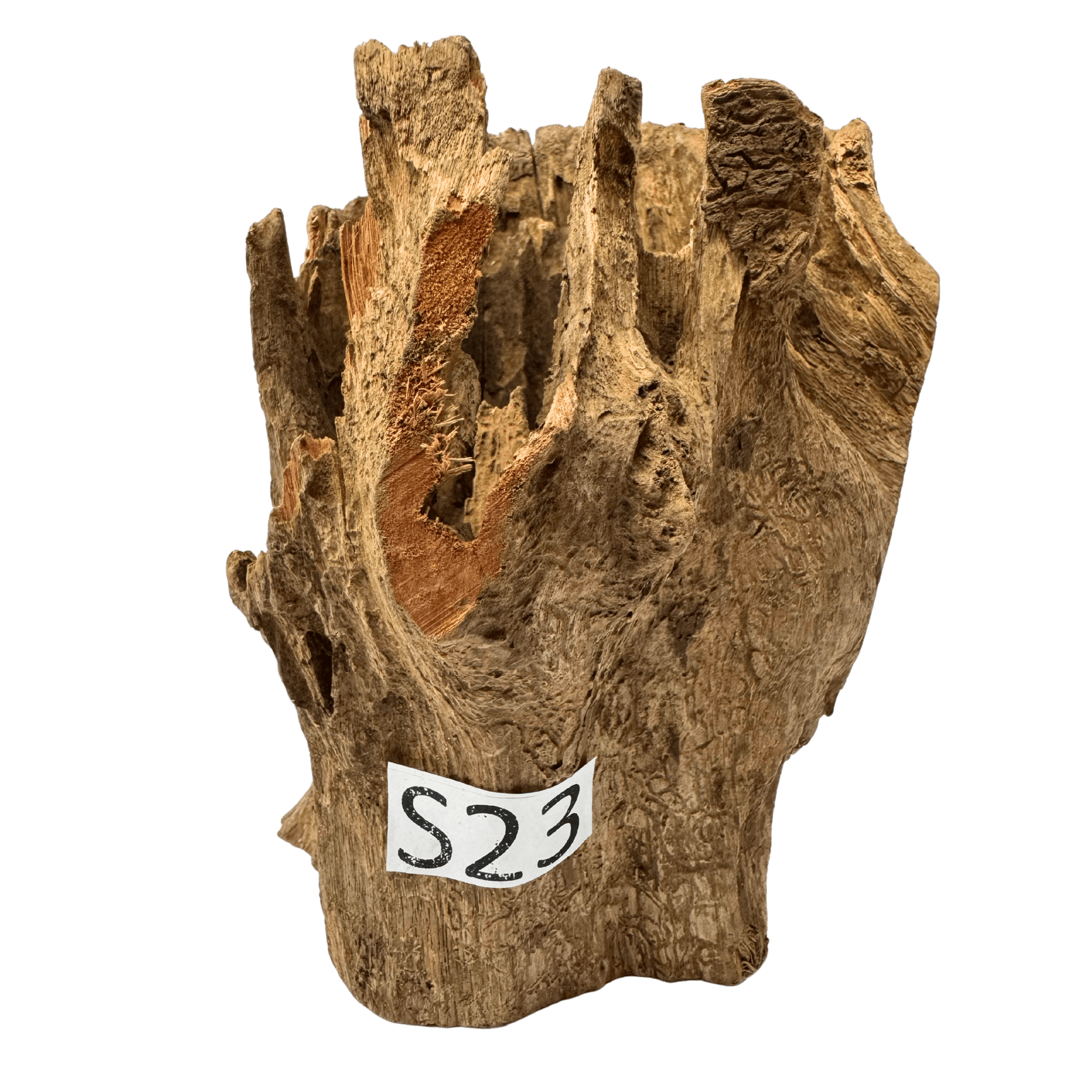 Creaqua Stump Wood Dekor Ağaç Gövdesi S 10-20 Cm - Small 23