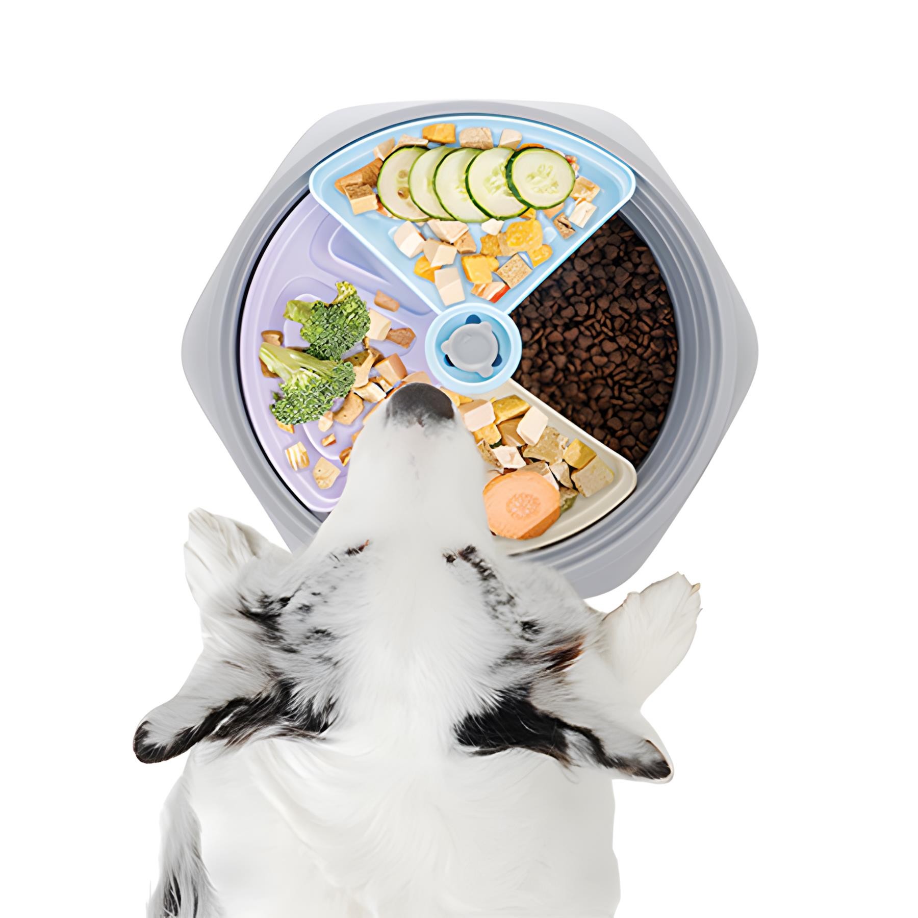 M-Pets Level Up Ayarlanabilir Yavaş Yeme Mama Kabı Medium