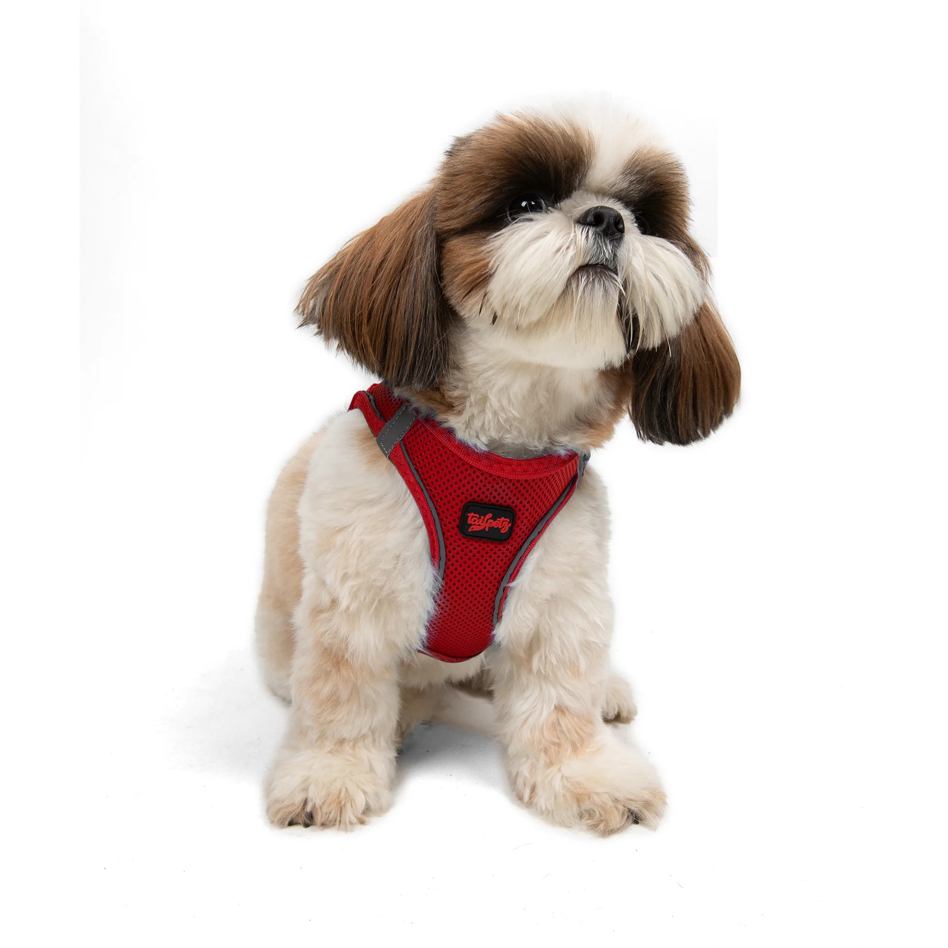 Tailpetz Air-Mesh Harness Red XS
