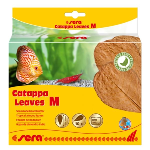 Sera Catappa Yaprağı M 18 Cm 10lu Paket