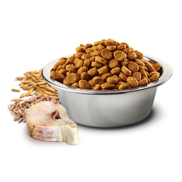 ND Düşük Tahıllı Morina Balığı ve Portakallı Yetişkin Kedi Maması Paketten Bölme 1 Kg