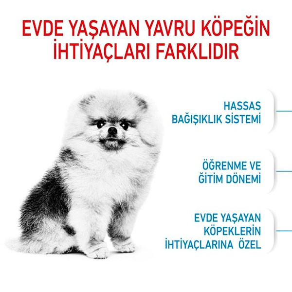 Royal Canin Puppy Mini Indoor Yavru Köpek Maması 1,5Kg