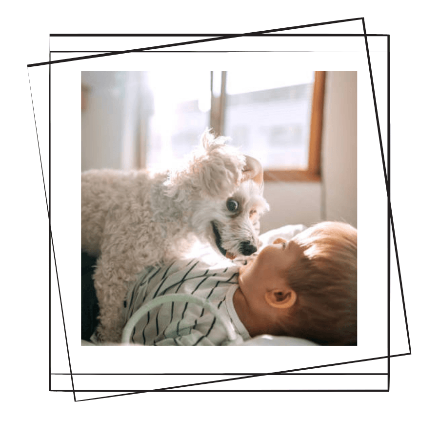 Evcil Hayvanlar İle Çocuklar Arasındaki İlişki