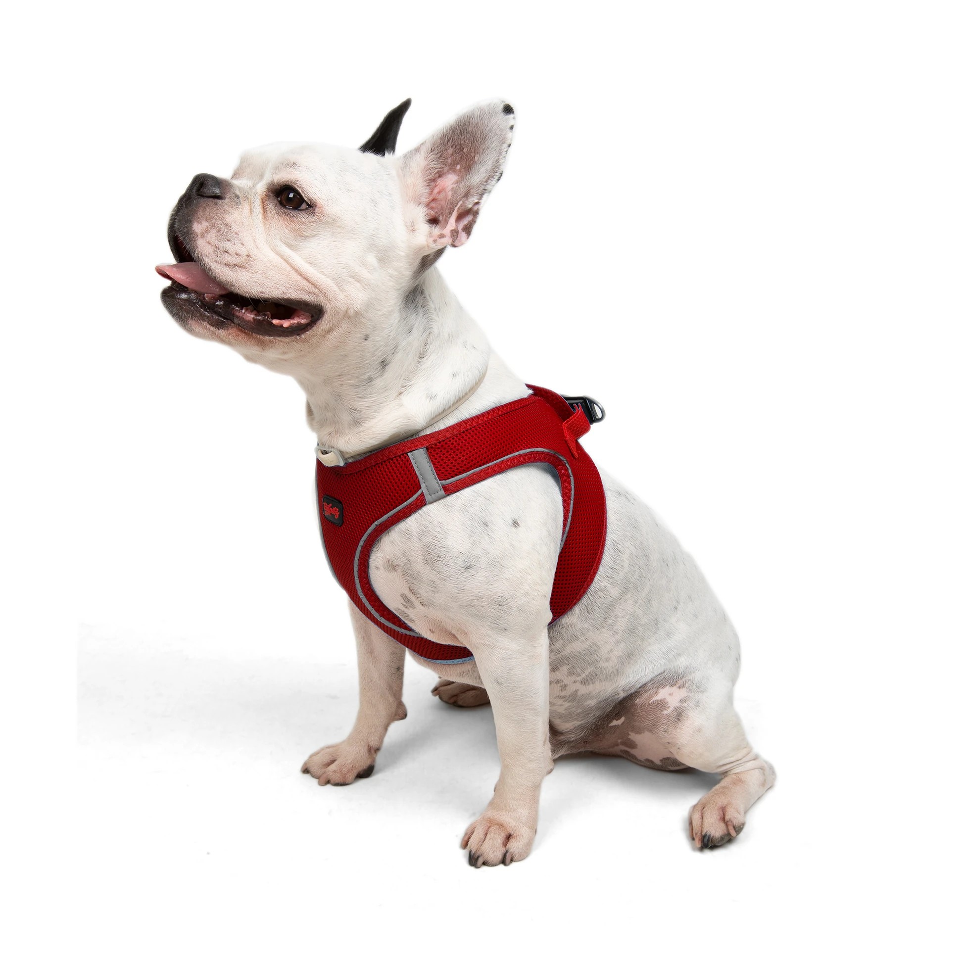 Tailpetz Air-Mesh Harness Red L