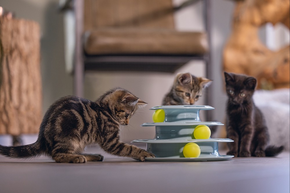 Beeztees Yavru Kedi Oyuncağı, 3 Katlı, 25x25x13cm