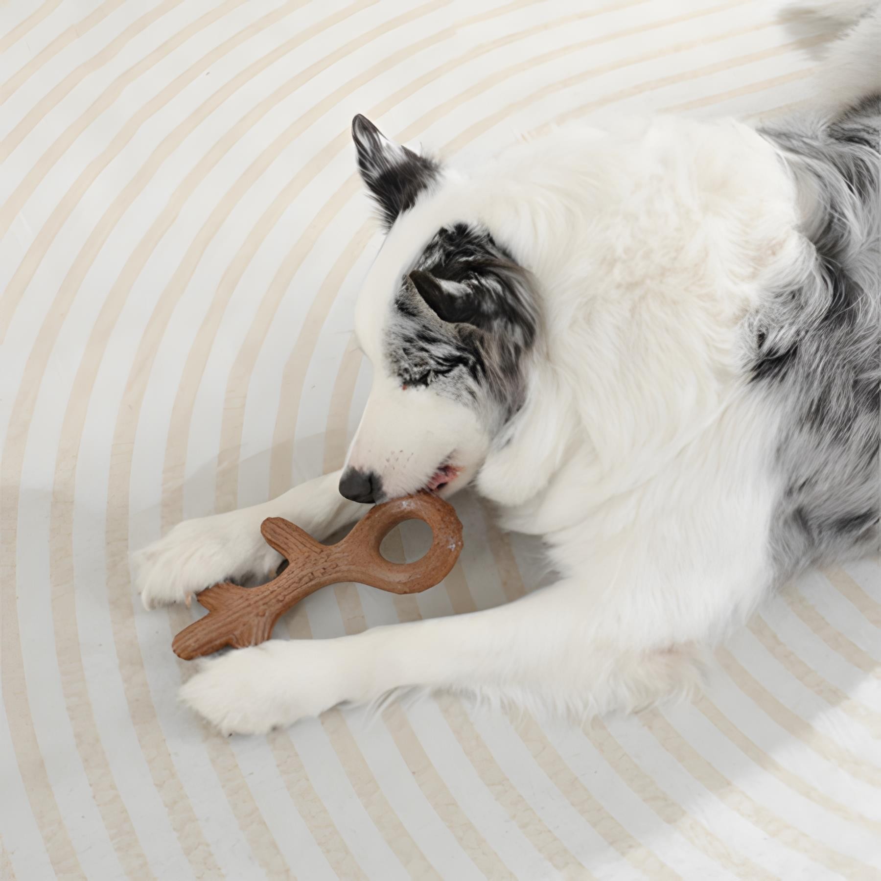 M-Pets Chewood Large Branch Köpek Oyuncağı