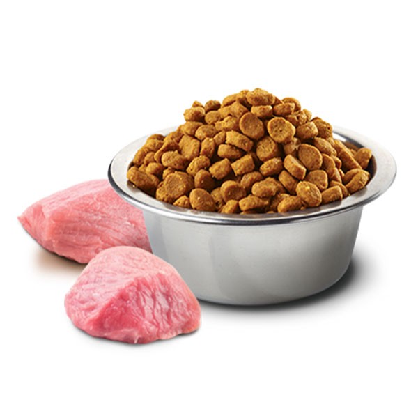 ND Tahılsız Bal Kabaklı ve Kuzu Etli Medium Maxi Yetişkin Köpek Maması 12 Kg