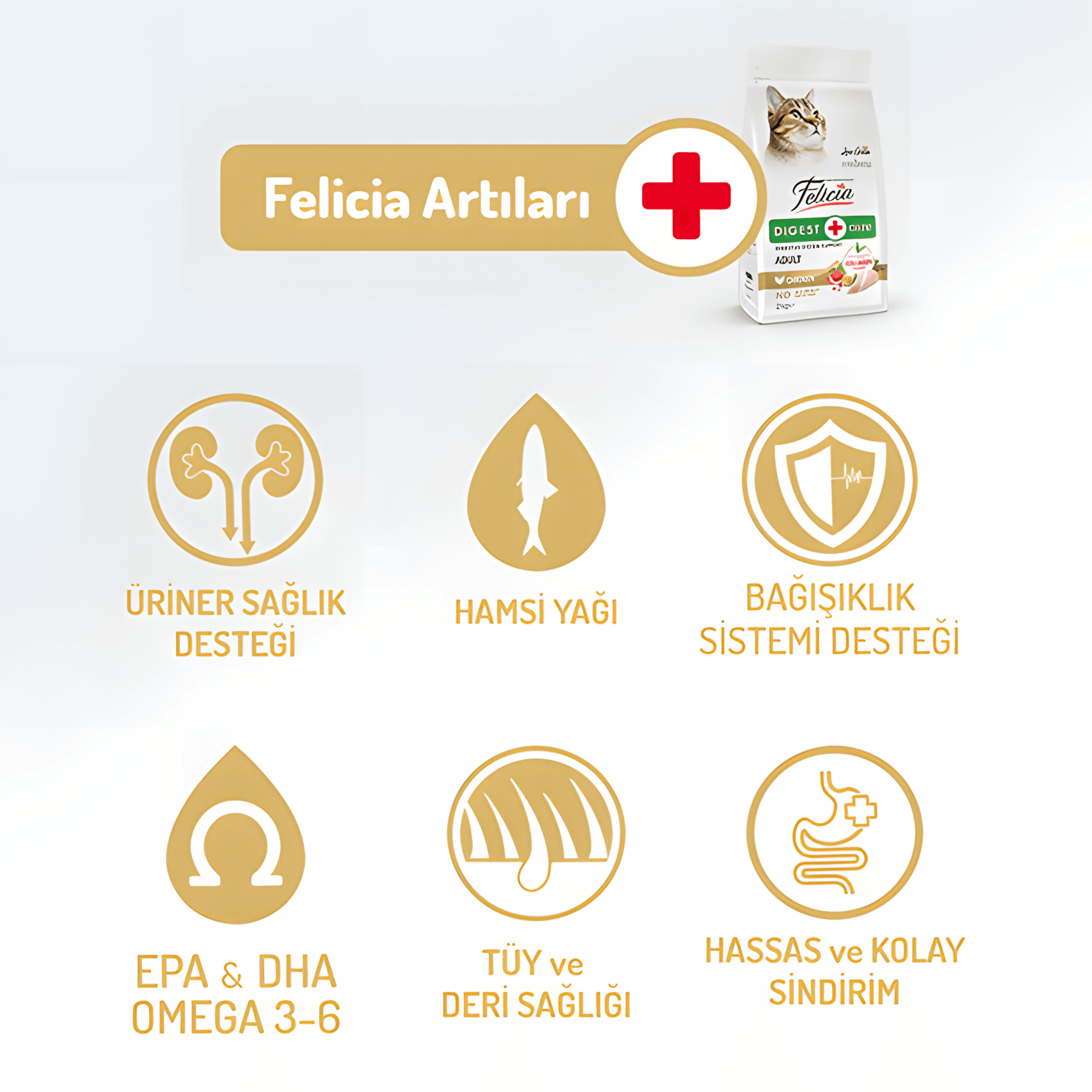 Felicia Az Tahıllı Somon Balıklı Hypoallergenic Kolajenli Yetişkin Kedi Maması 2Kg