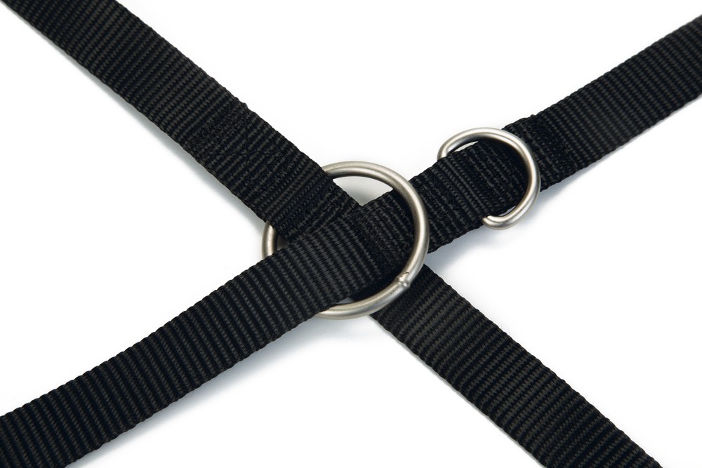 Beeztees Köpek Gezdirme Kayışı, Siyah, 200cm, 20mm