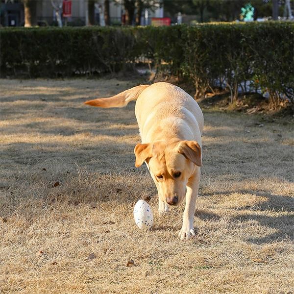 M-Pets Bloom Rugby Oyun Topu Parçalanmaz Beyaz Mavi