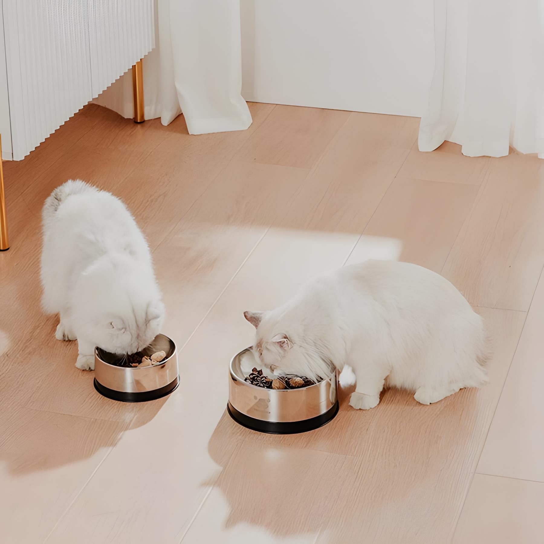 Pawgether Bowl 2S Metal Mama Kabı 850ml