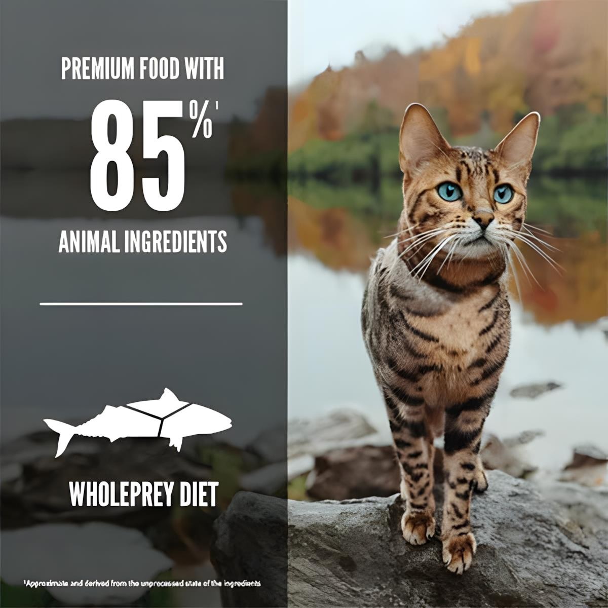Orijen Six Fish Balıklı Yetişkin Kedi Maması 1,8 Kg