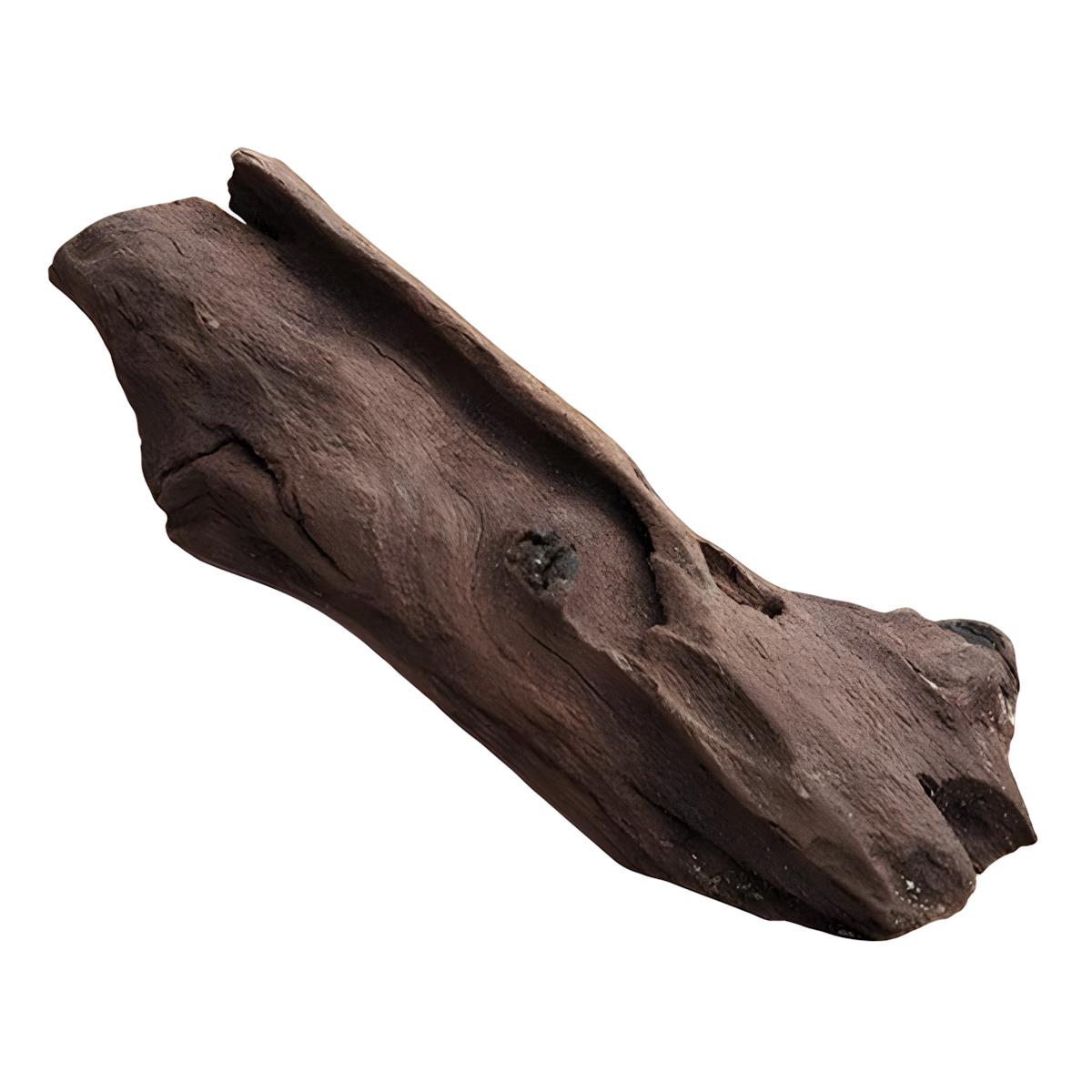 Eurostar Mangrove Akvaryum Dekoru ML 25-35 Cm