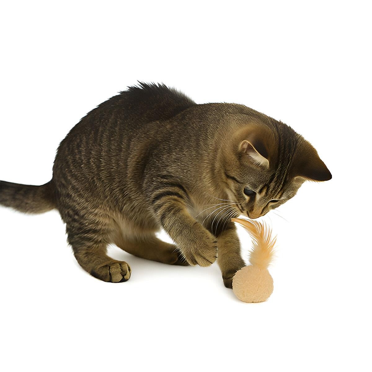 Eastland Catnipli Tüylü Keçe Top Kedi Oyuncağı 5cm