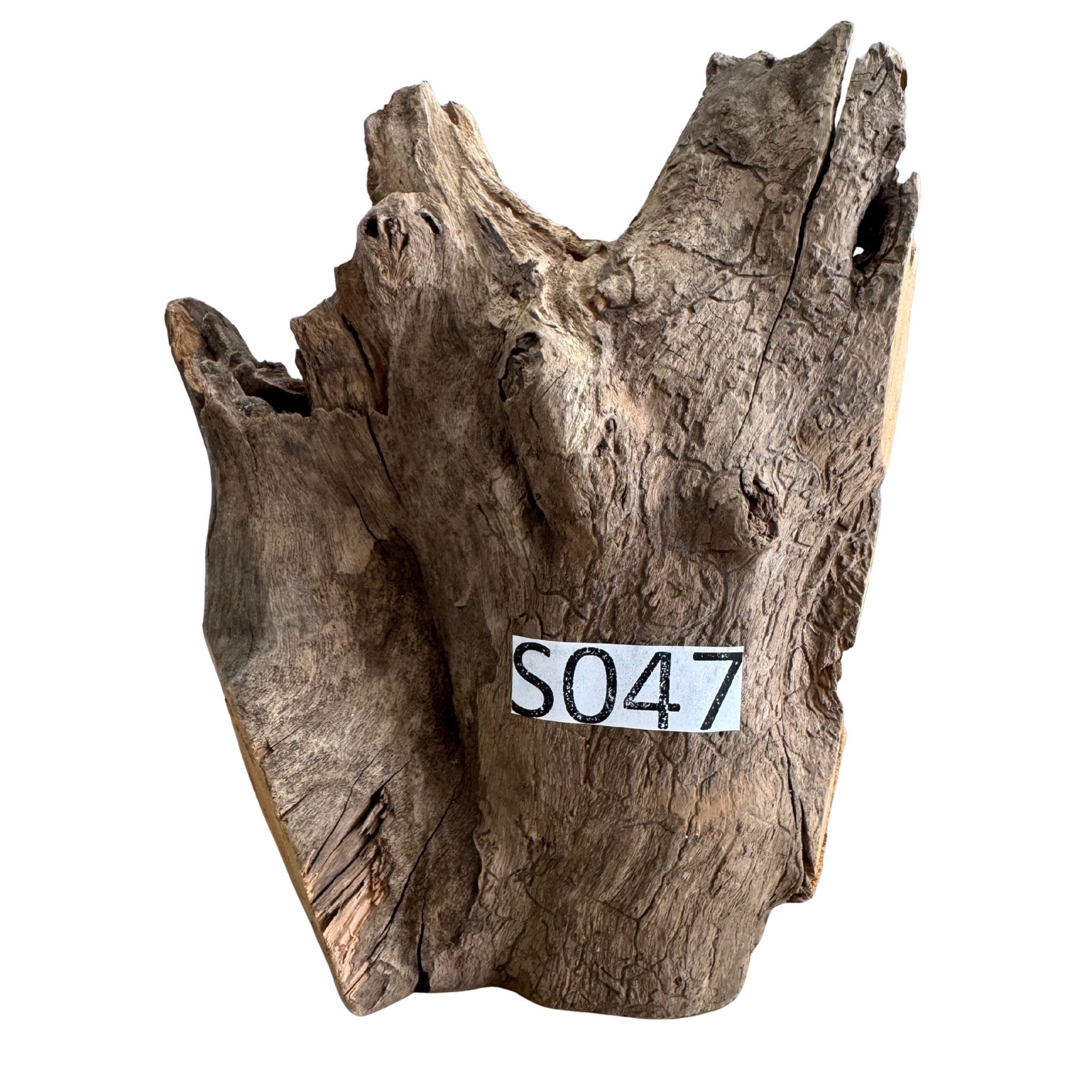 Creaqua Stump Wood Dekor Ağaç Gövdesi S 10-20 Cm - Small 47
