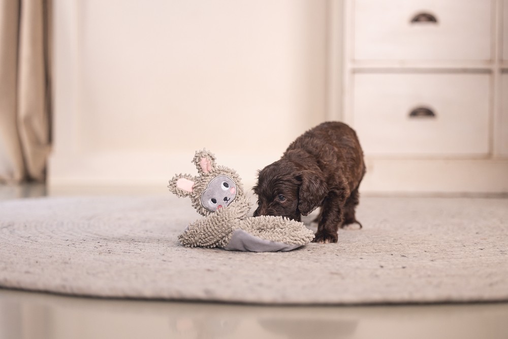 Beeztees Yavru Köpek Oyuncağı, Peluş, Gri, 37x28x4cm