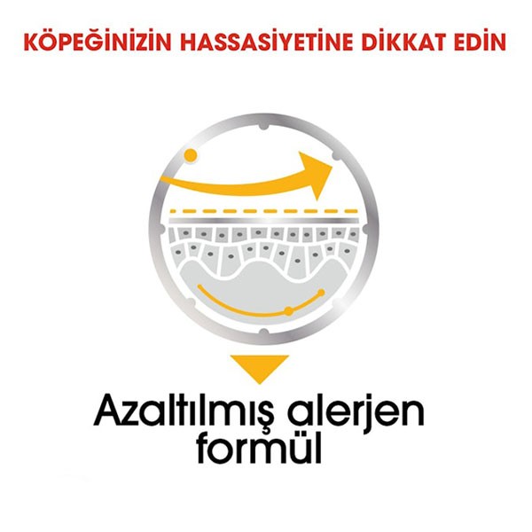 Royal Canin Dermacomfort Yetişkin Köpek Konservesi 85gr