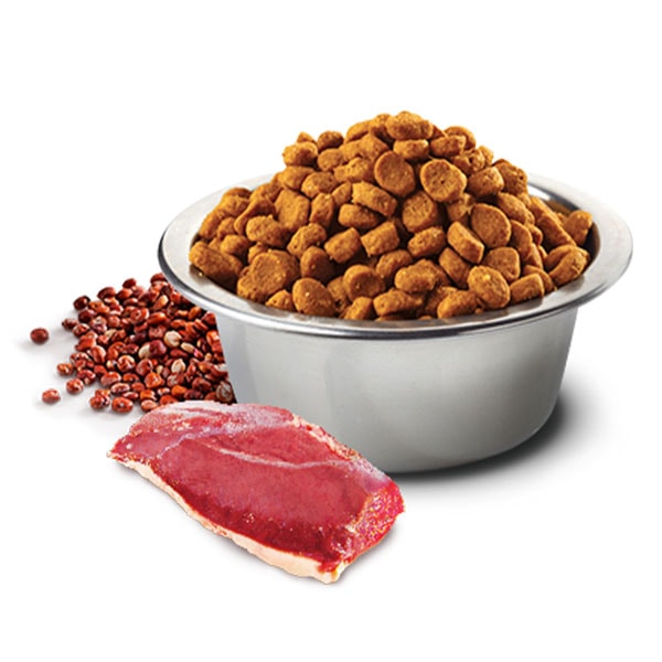 ND Quinoa Ördek Brokoli ve Kinoalı İdrar Yolları Destekleyici Medium Maxi Yetişkin Köpek Maması 12 Kg