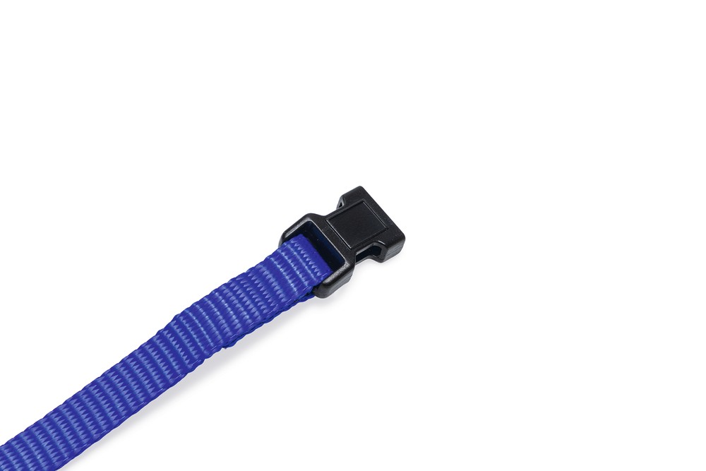 Beeztees Yavru Köpek Boyun Tasması, Çeşitli Renklerde, 22-35cm, 10mm