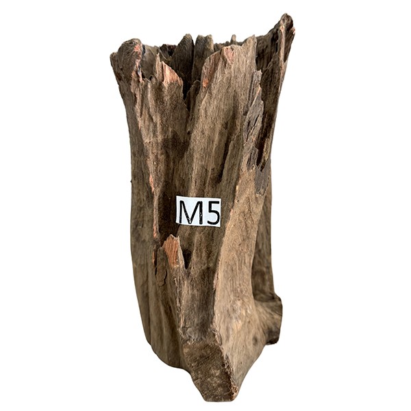 Creaqua Stump Wood Dekor Ağaç Gövdesi M 20-30 Cm