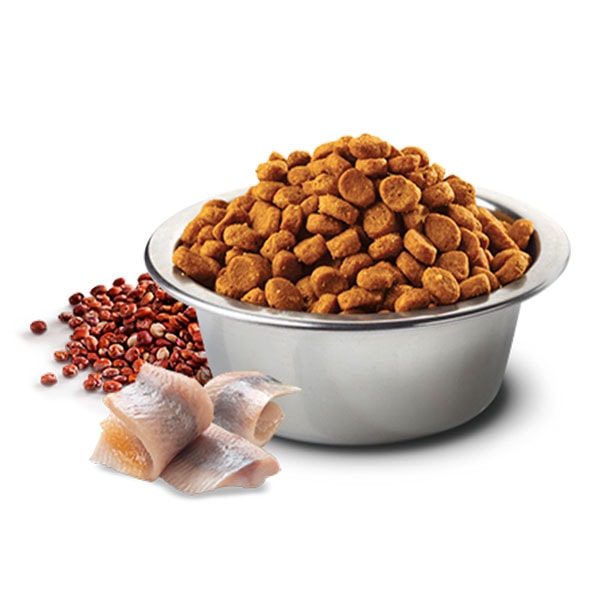ND Quinoa Skin&Coat Bıldırcın Etli İdrar Yolları Destekleyici Küçük Irk Köpek Maması 2,5 Kg