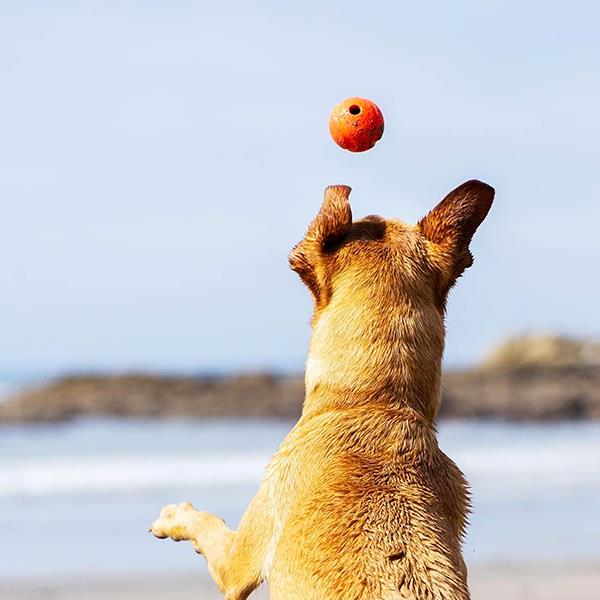 Chuckit Fetch Ball Köpek Oyun Topu Küçük Boy 2li