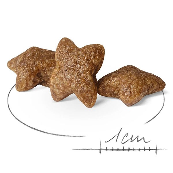 Royal Canin Mini Adult Yetişkin Köpek Maması 2 Kg