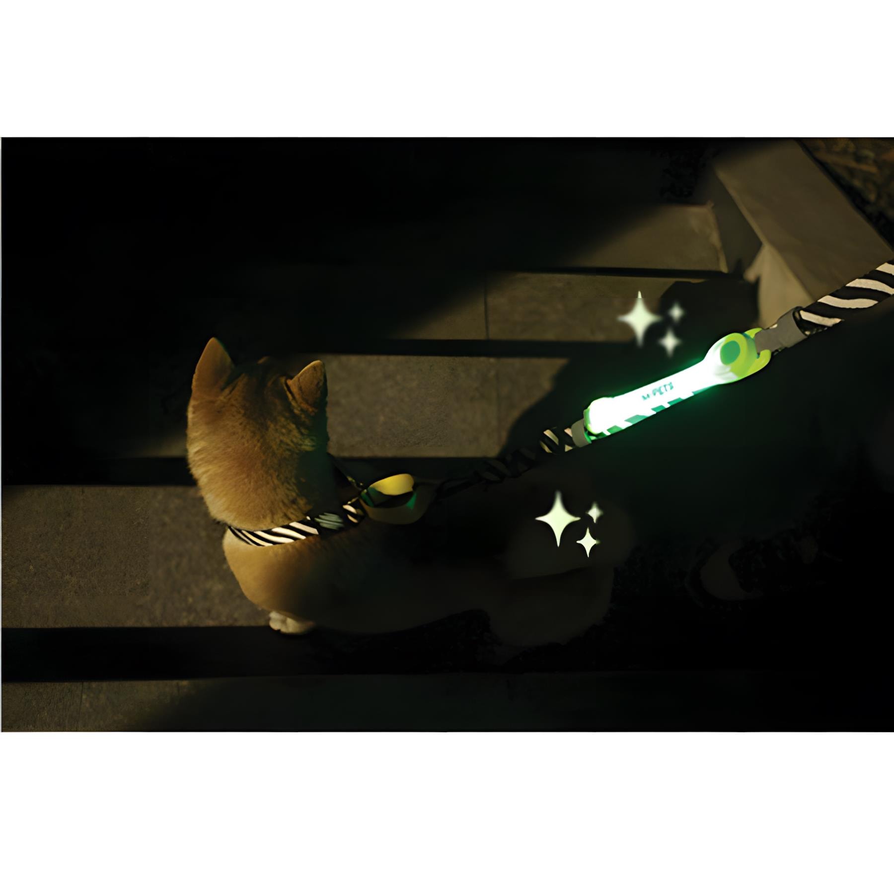 M-Pets Flash Ledli Band Yeşil