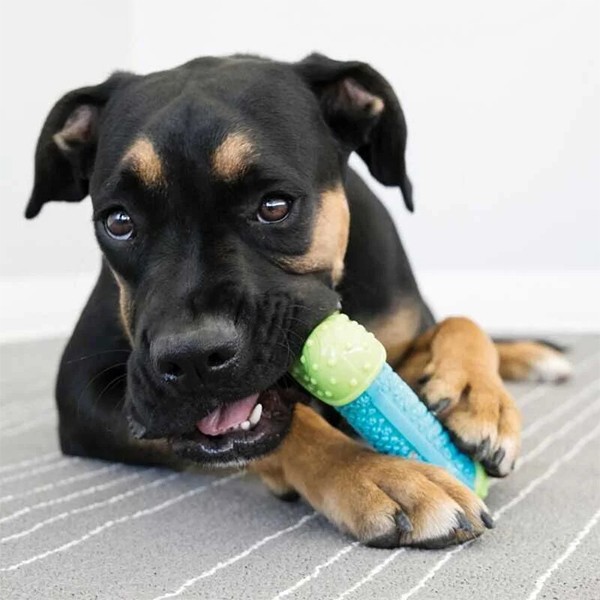 Kong Core Strength Kauçuk Köpek Çiğneme Oyuncağı 13,5cm