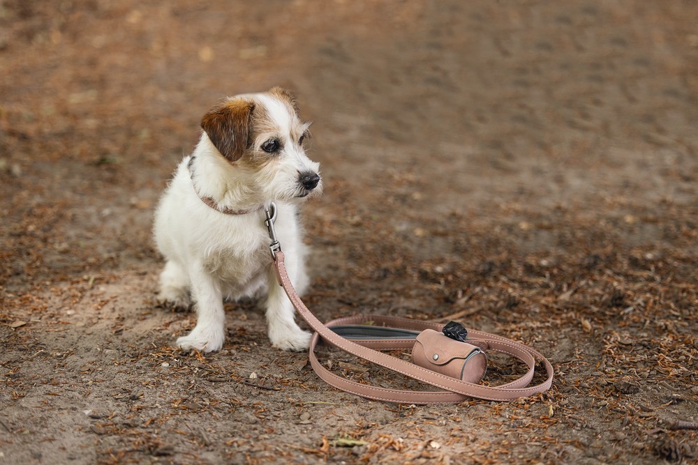 Beeztees Köpek Dışkı Toplama Poşeti Taşıma Çantası, Pudra Pembe, 8x5x5cm
