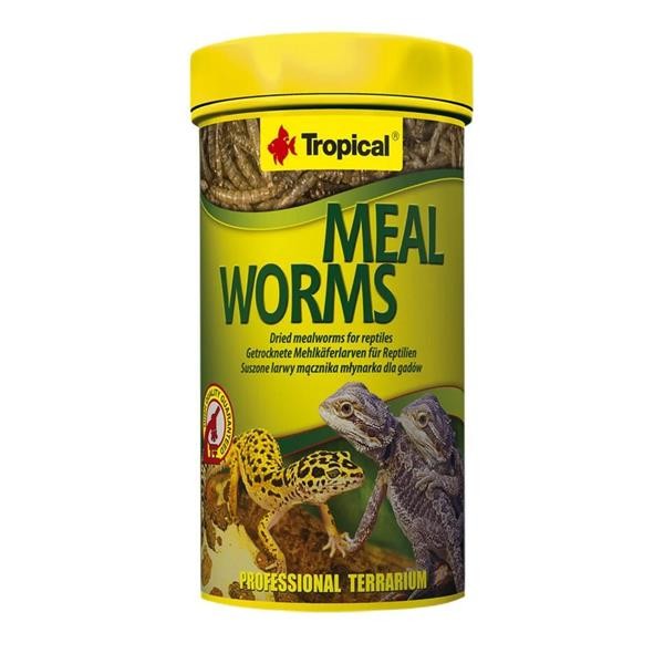 Tropical Meal Worms Un Kurdu 250ml 30 gr