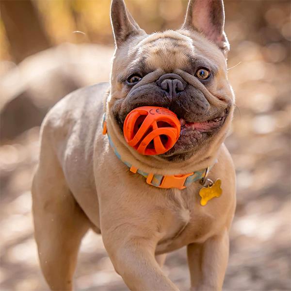 Chuckit Air Fetch Ball Köpek Oyun Topu Küçük Boy 2li