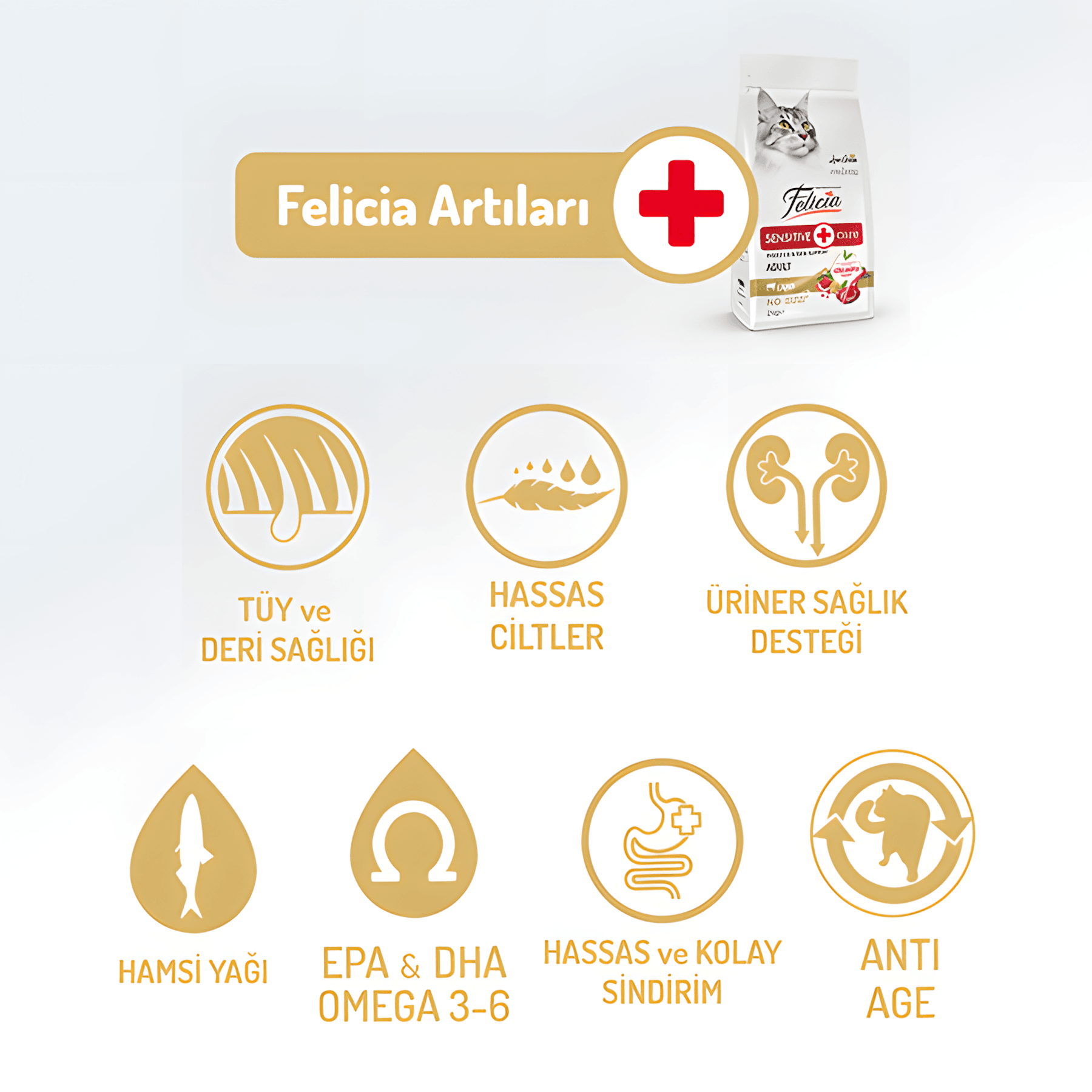 Felicia Az Tahıllı Kuzu Etli Hypoallergenic Kolajenli Yetişkin Kedi Maması 2Kg