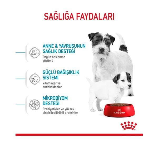 Royal Canin Mini Starter Mother&Babydog Küçük Irk Yavru Köpek Maması 4Kg