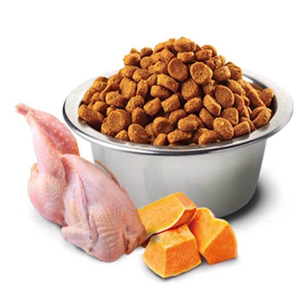 ND Pumpkin Bıldırcın Etli Bal Kabaklı ve Narlı Tahılsız Yetişkin Kedi Maması 1,5Kg