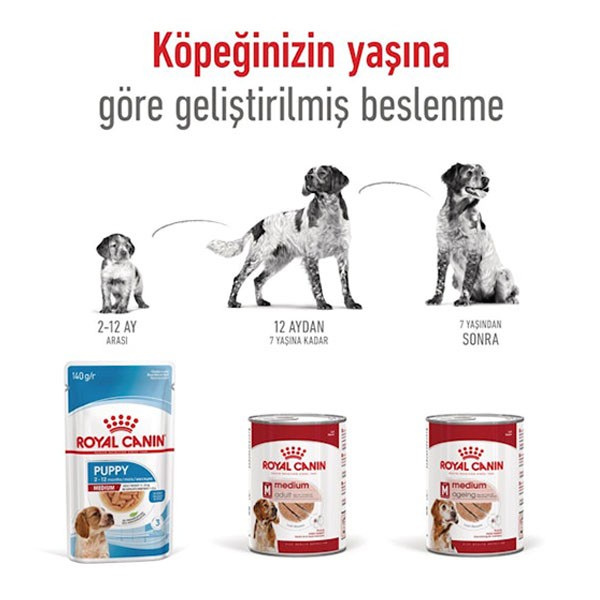 Royal Canin Orta Irk Konserve Köpek Maması 410gr 12li Paket
