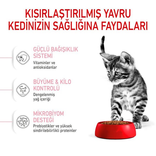 Royal Canin Sterilised Kitten Kısırlaştırılmış Yavru Kedi Maması 2 Kg