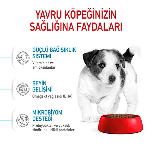 Royal Canin Mini Puppy Yavru Köpek Maması 4 Kg